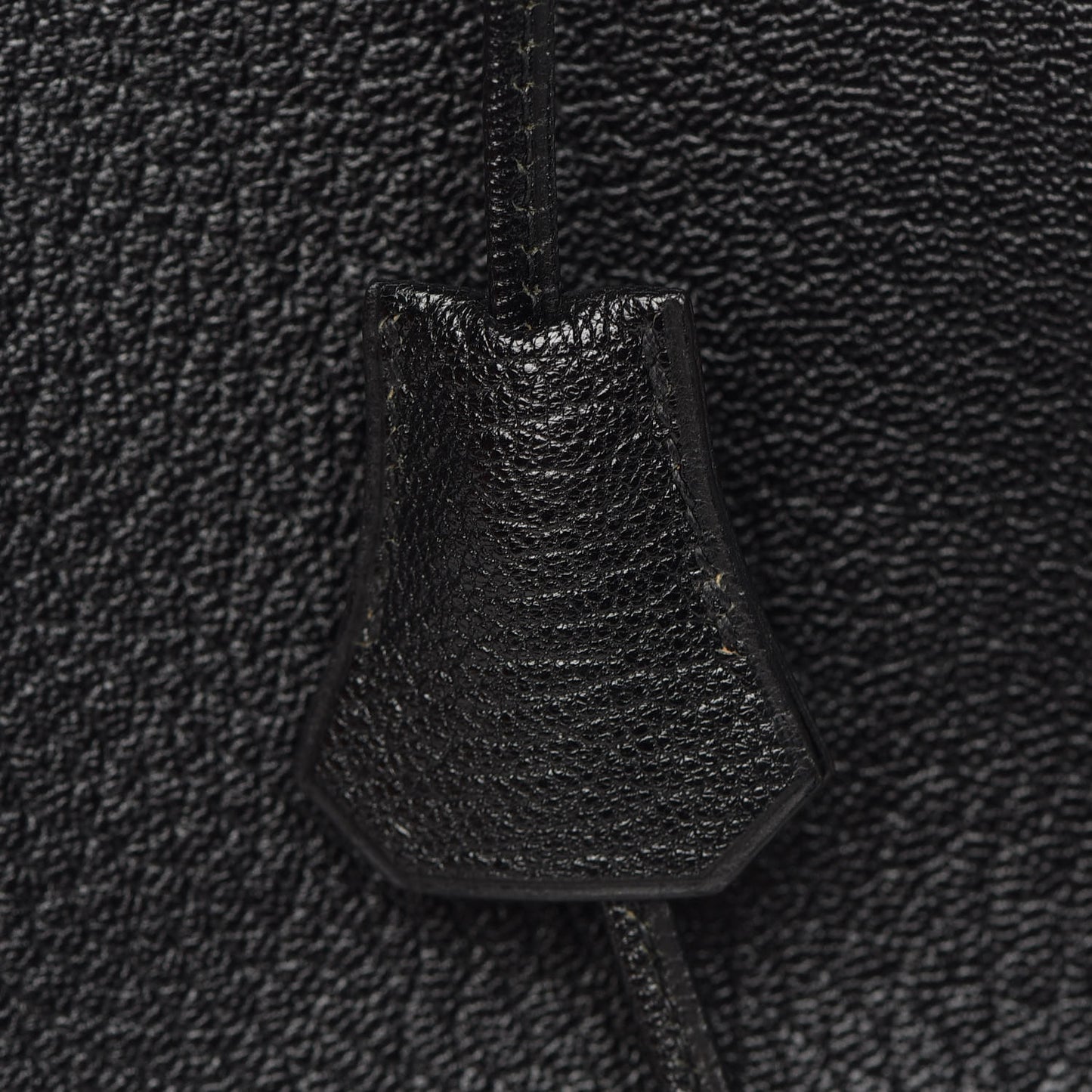 Chevre de Coromandel Birkin 35 Black