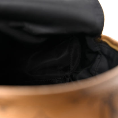 Louis Vuitton Reverse Monogram Palm Springs Backpack Mini 5 of 11