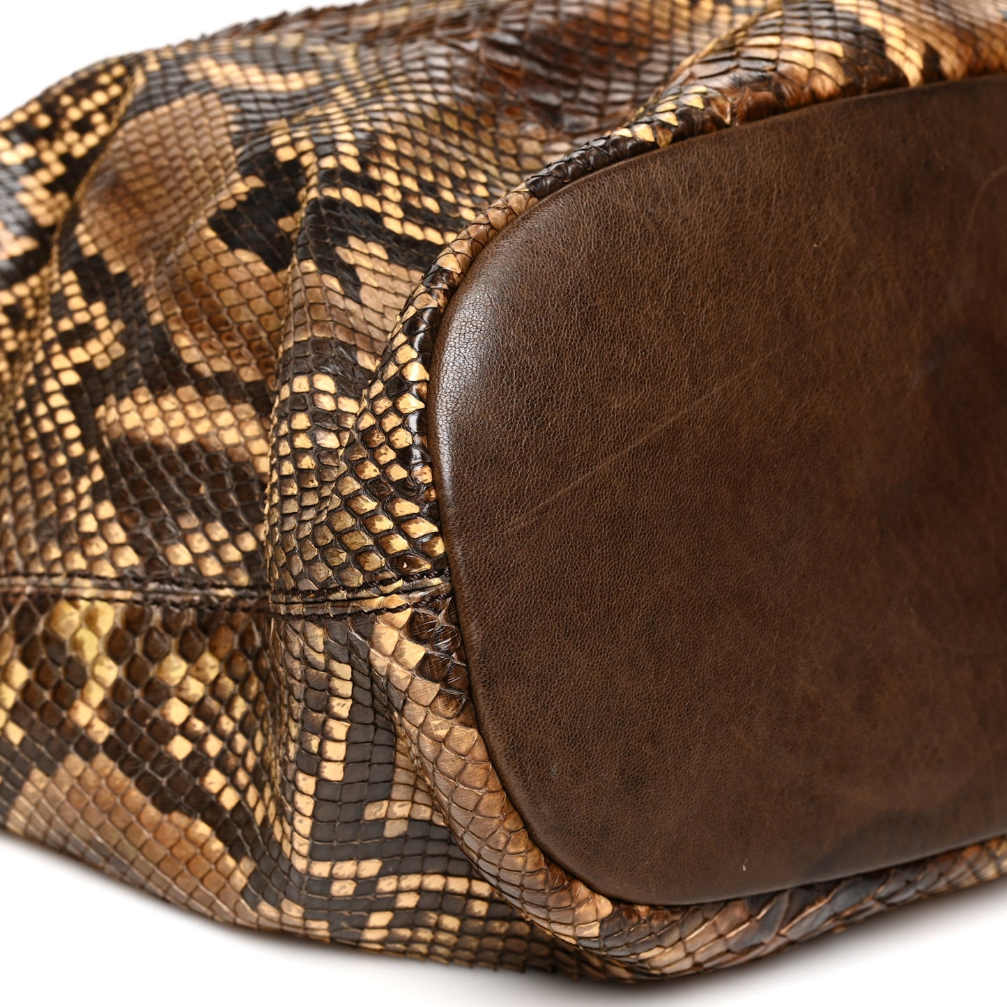 Python Medium Nightingale Brown Multicolor