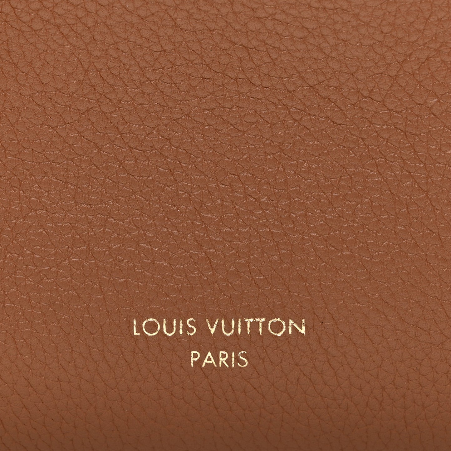Grained Calfskin Side Trunk PM Cognac