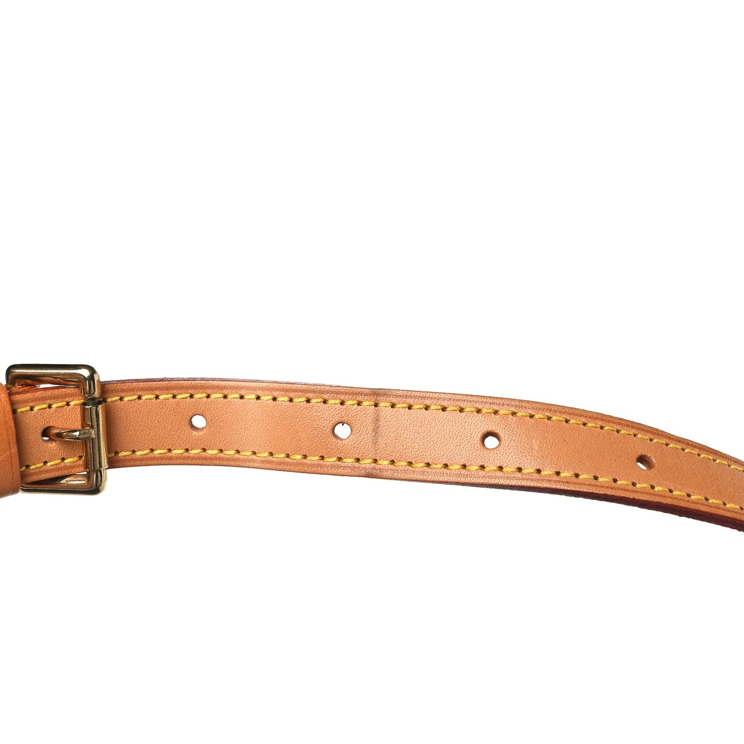 Monogram Musette Salsa