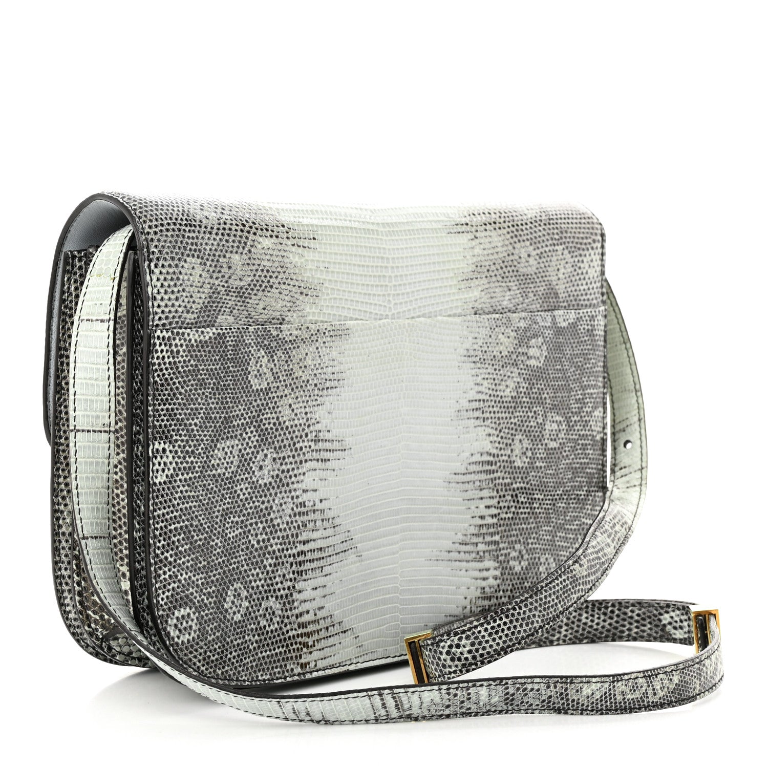 Celine Lizard Medium Classic Box Flap Bag Mineral 3 of 12
