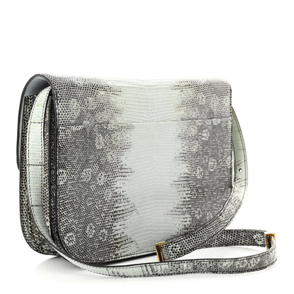 Celine Lizard Medium Classic Box Flap Bag Mineral 3 of 12
