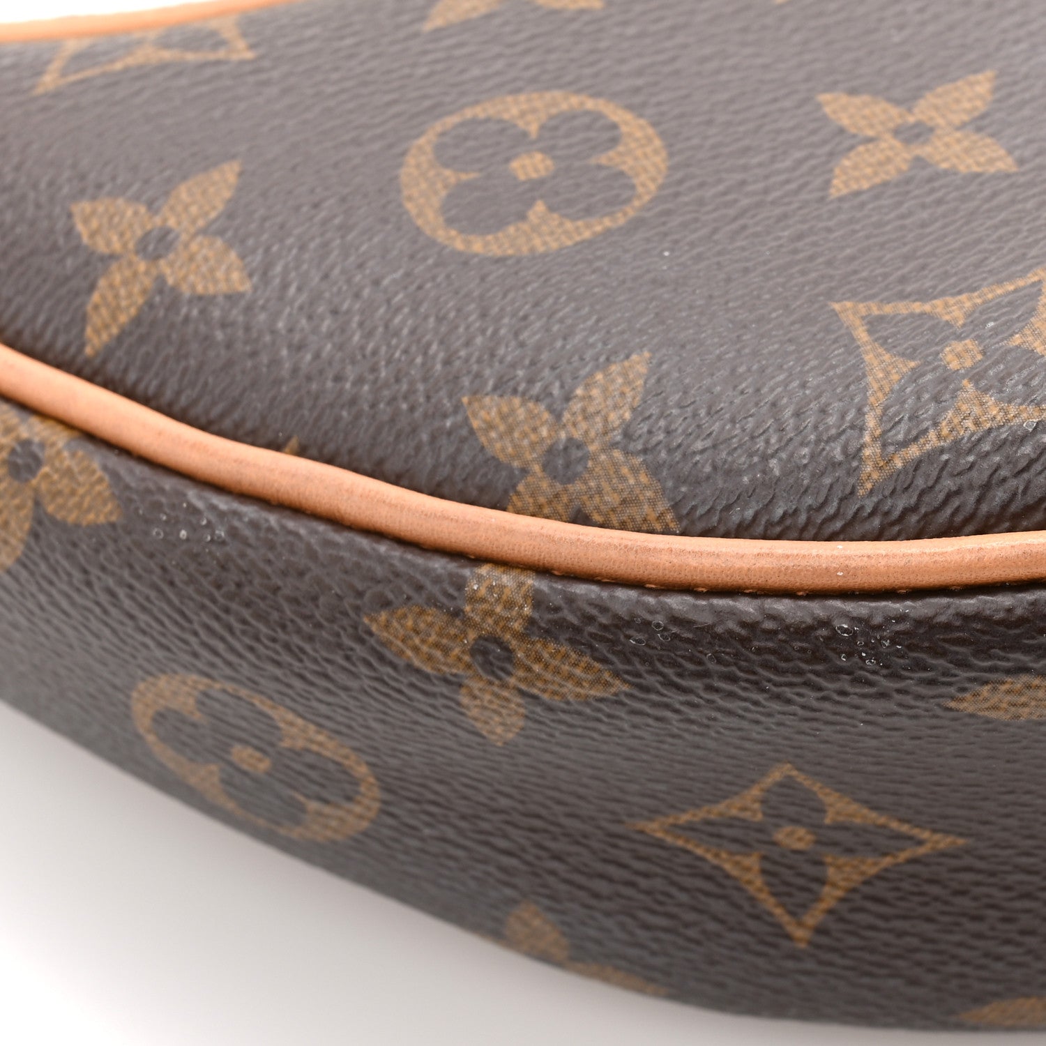 Louis Vuitton Monogram Loop 10 of 13