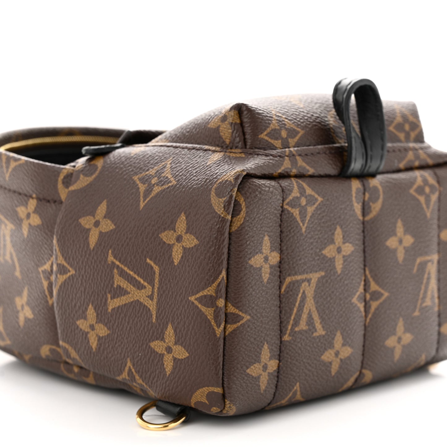 Monogram Palm Springs Backpack Mini