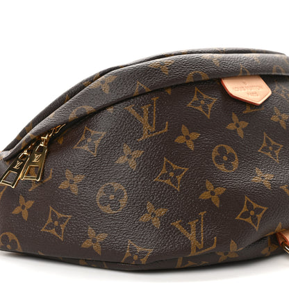 Louis Vuitton Monogram Bumbag 7 of 8