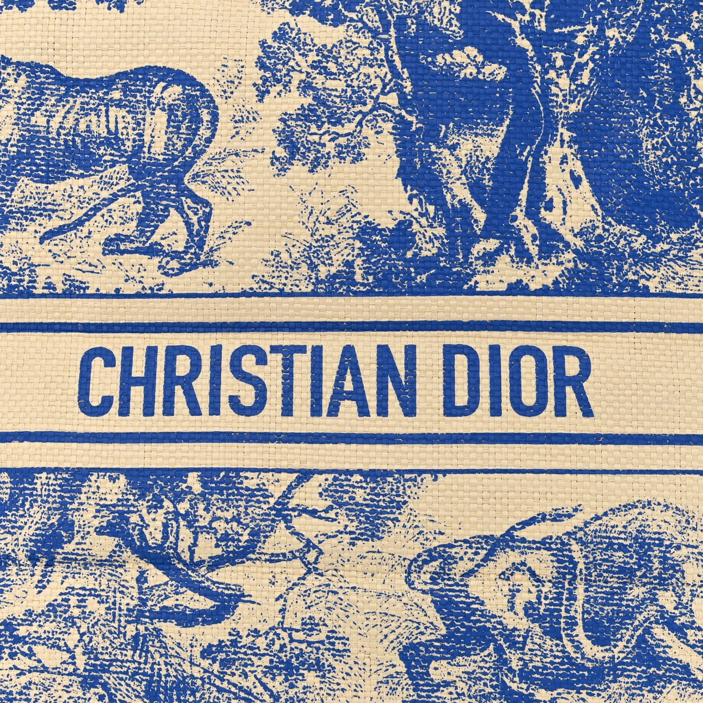 CHRISTIAN DIOR Straw Dioriviera Tote Blue