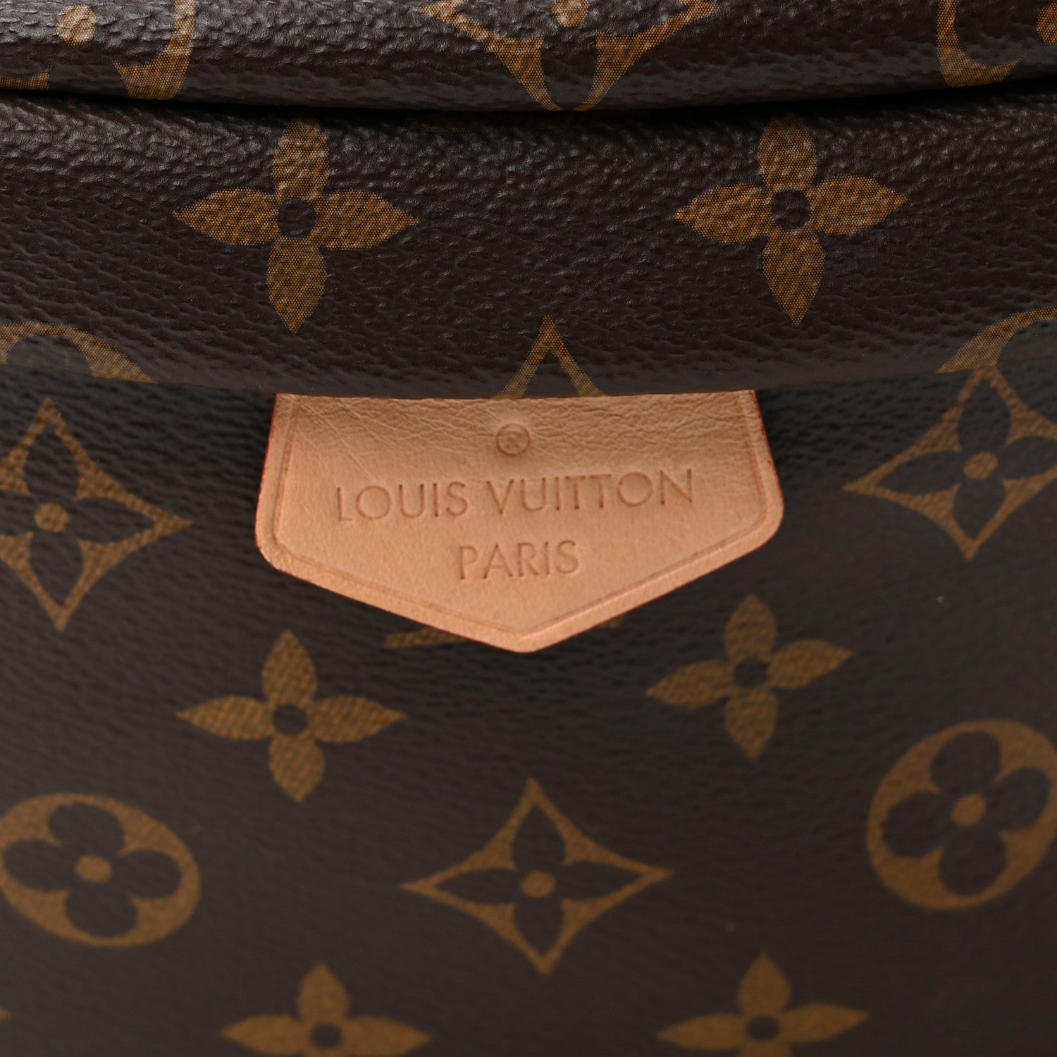 Louis Vuitton Monogram Bumbag 7 of 9