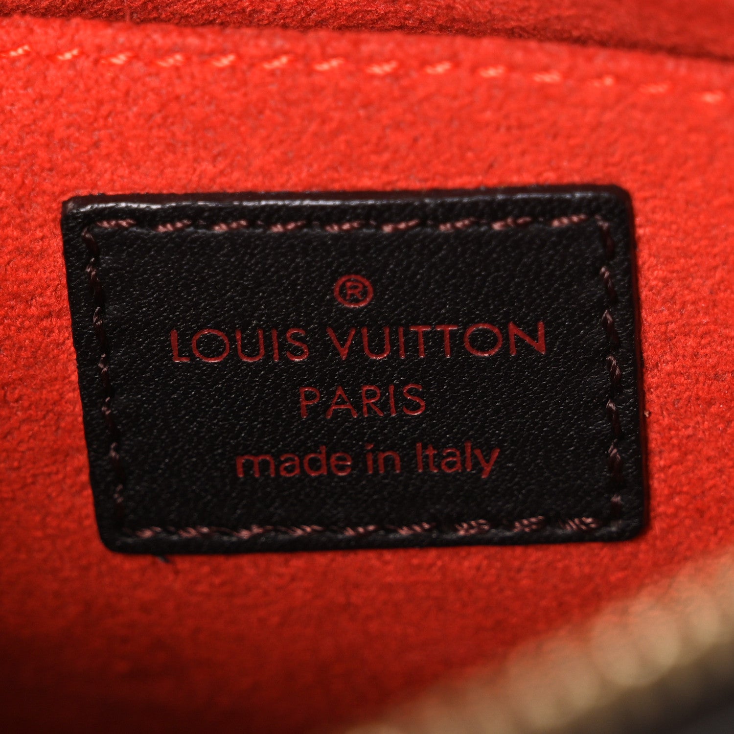 Louis Vuitton Calf Hair Damier Sauvage Tigre 6 of 10