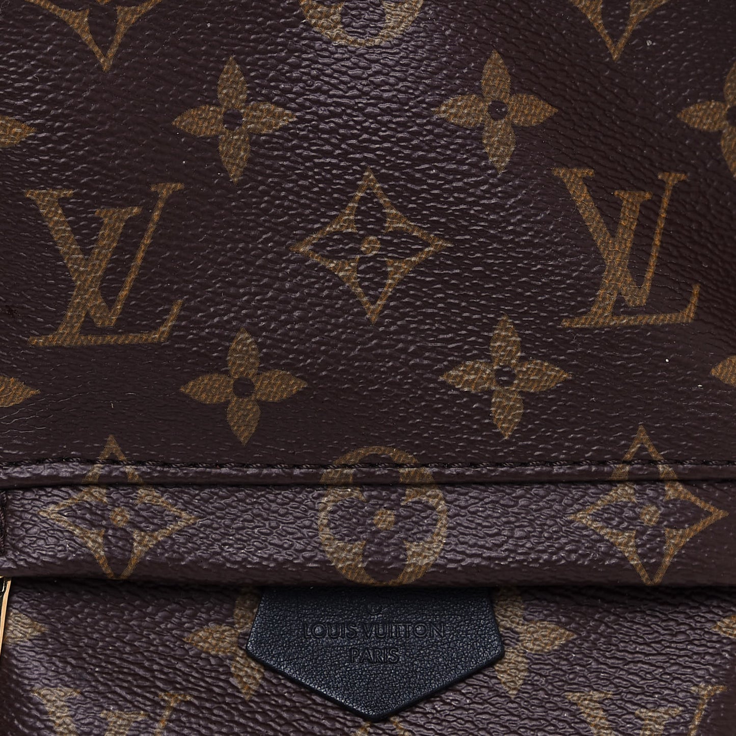 Monogram Palm Springs Backpack Mini