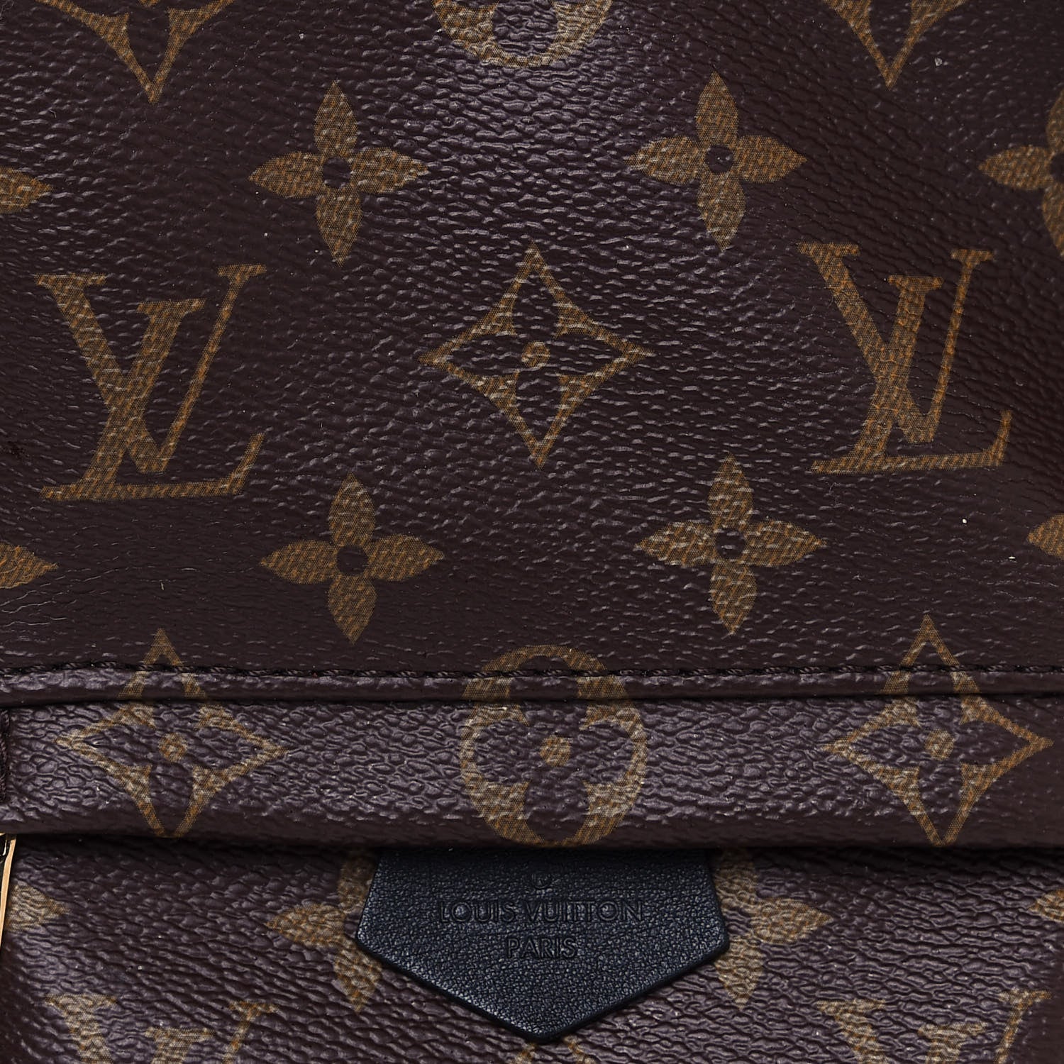 Louis Vuitton Monogram Palm Springs Backpack Mini 7 of 11