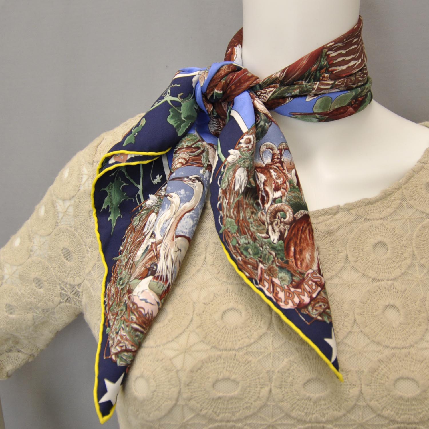 Hermes Silk Faune et Flore du Texas Scarf 70 9 of 9