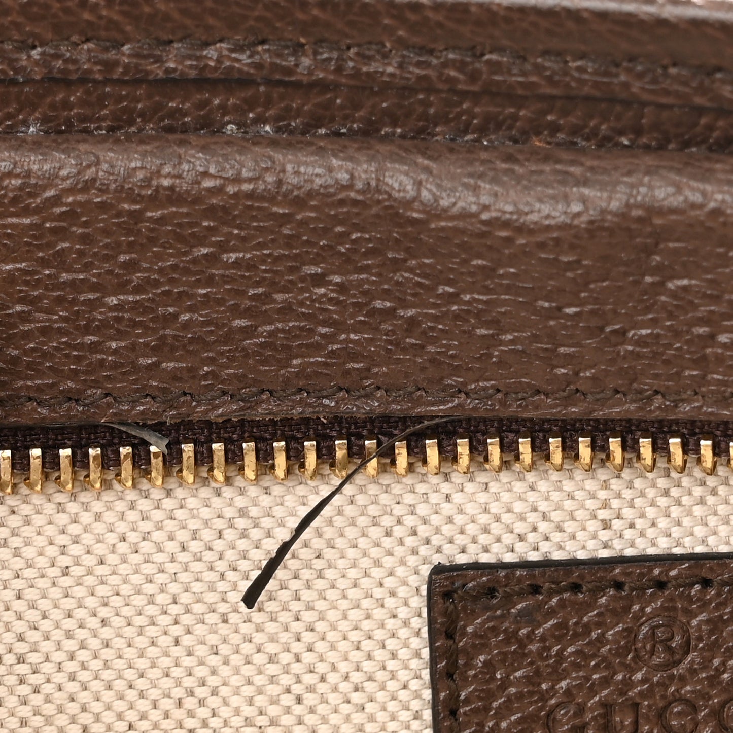 Monogram Jumbo GG Textured Dollar Calfskin Web Mini Crossbody Bag Camel Ebony New Acero