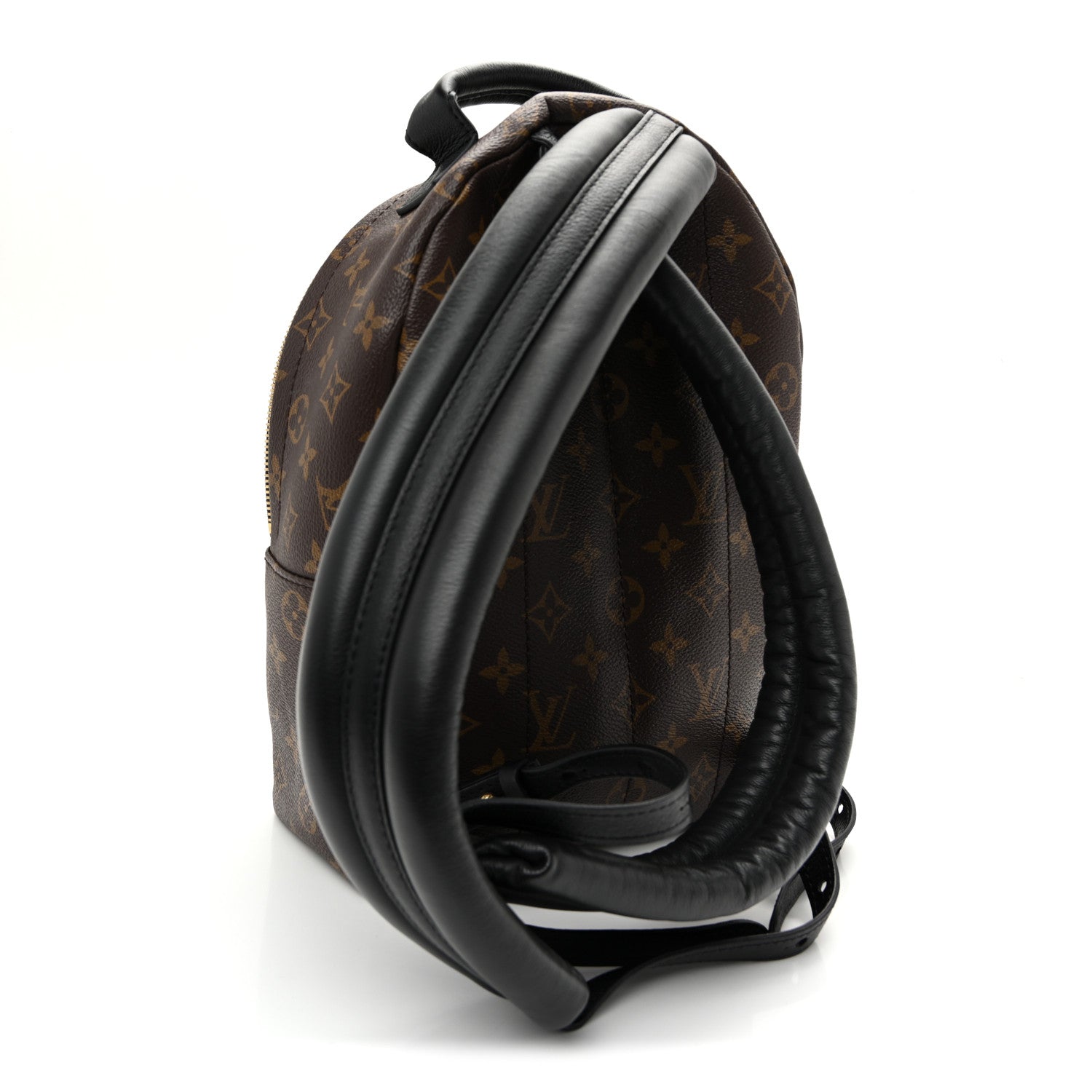 Louis Vuitton Monogram Palm Springs Backpack PM 3 of 10