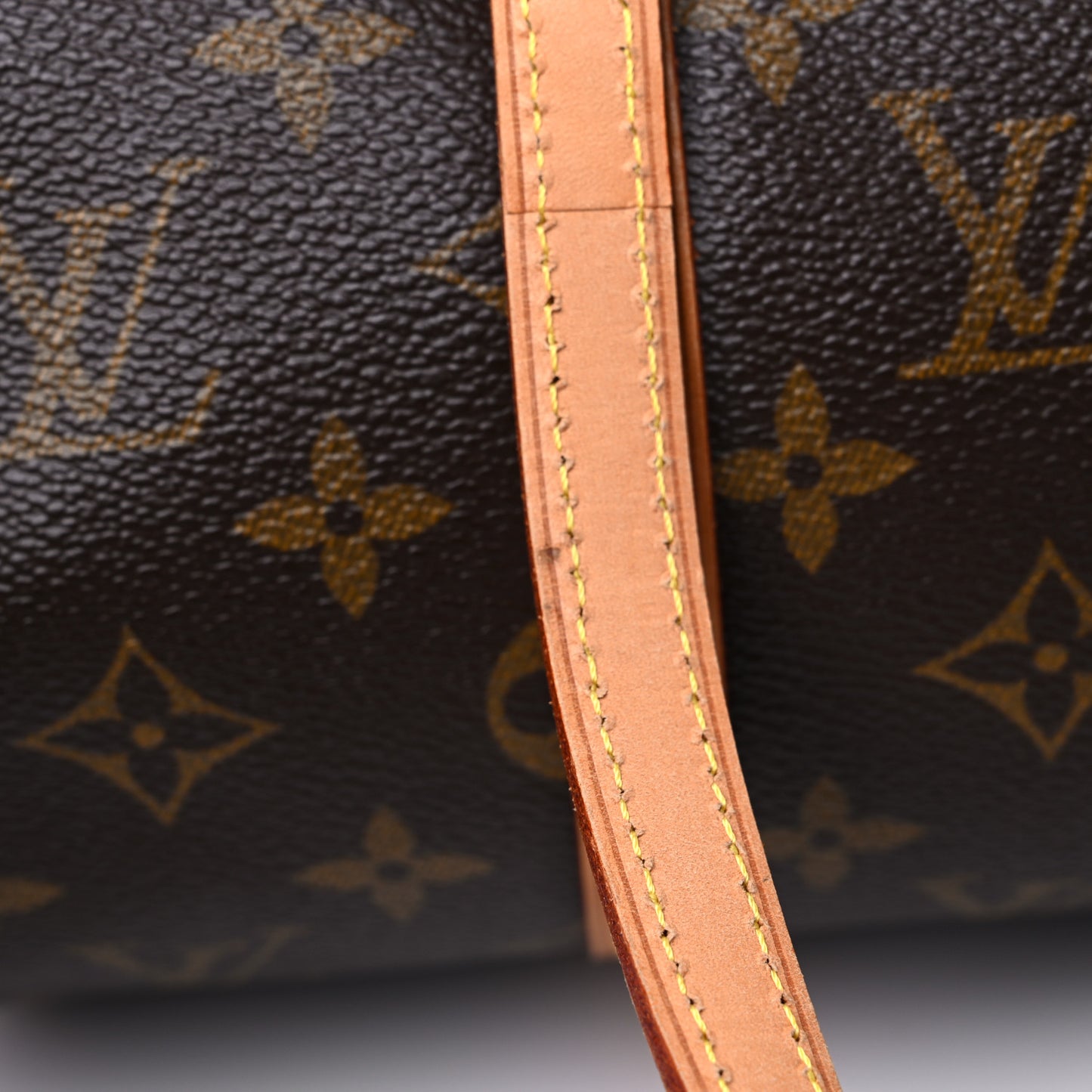 Monogram Papillon 30 With Companion