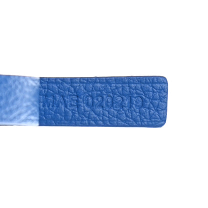 Goyard Goyardine Saint Louis PM Sky Blue 8 of 11