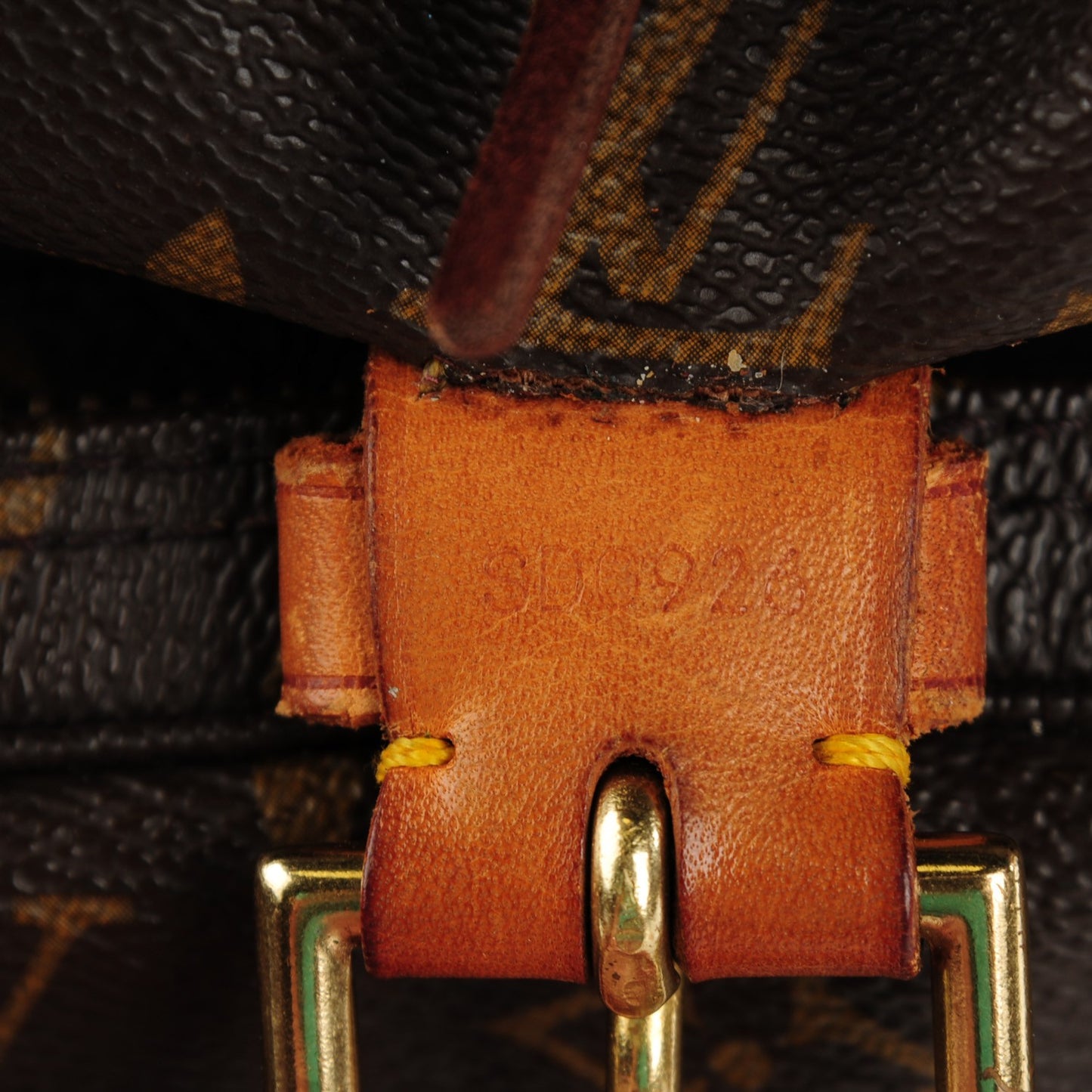 Monogram Montsouris GM Backpack