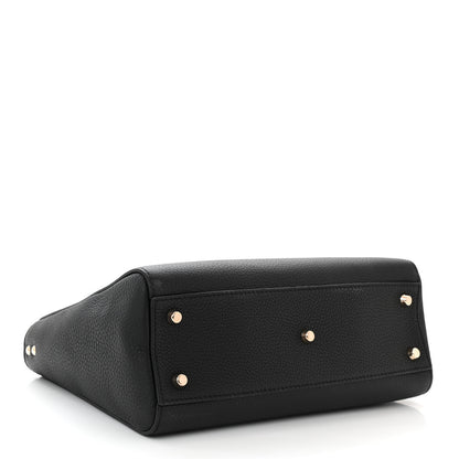 Christian Dior Bullcalf Medium Lady D-Sire Tote Black 4 of 10