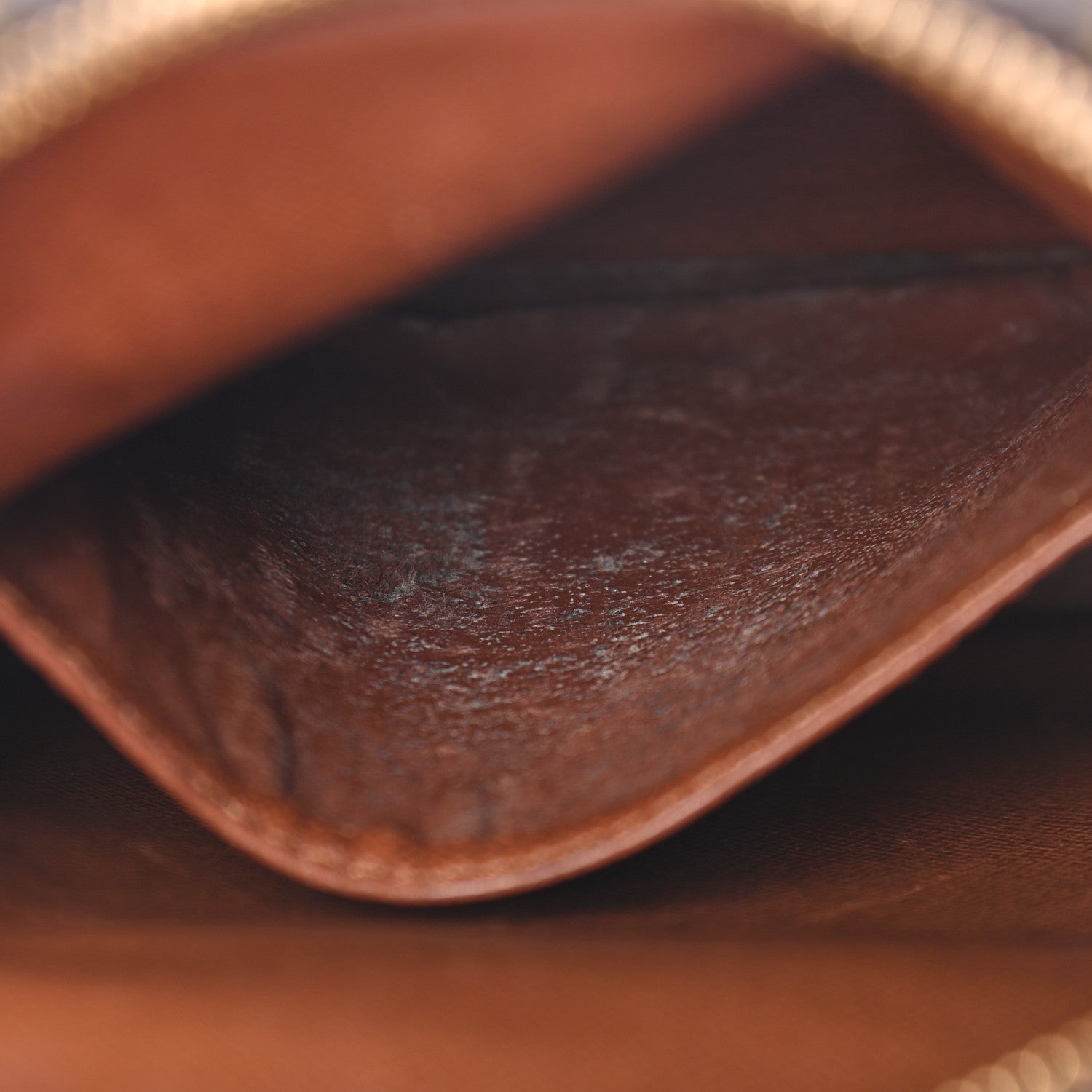 Louis Vuitton Monogram Amazone 11 of 13