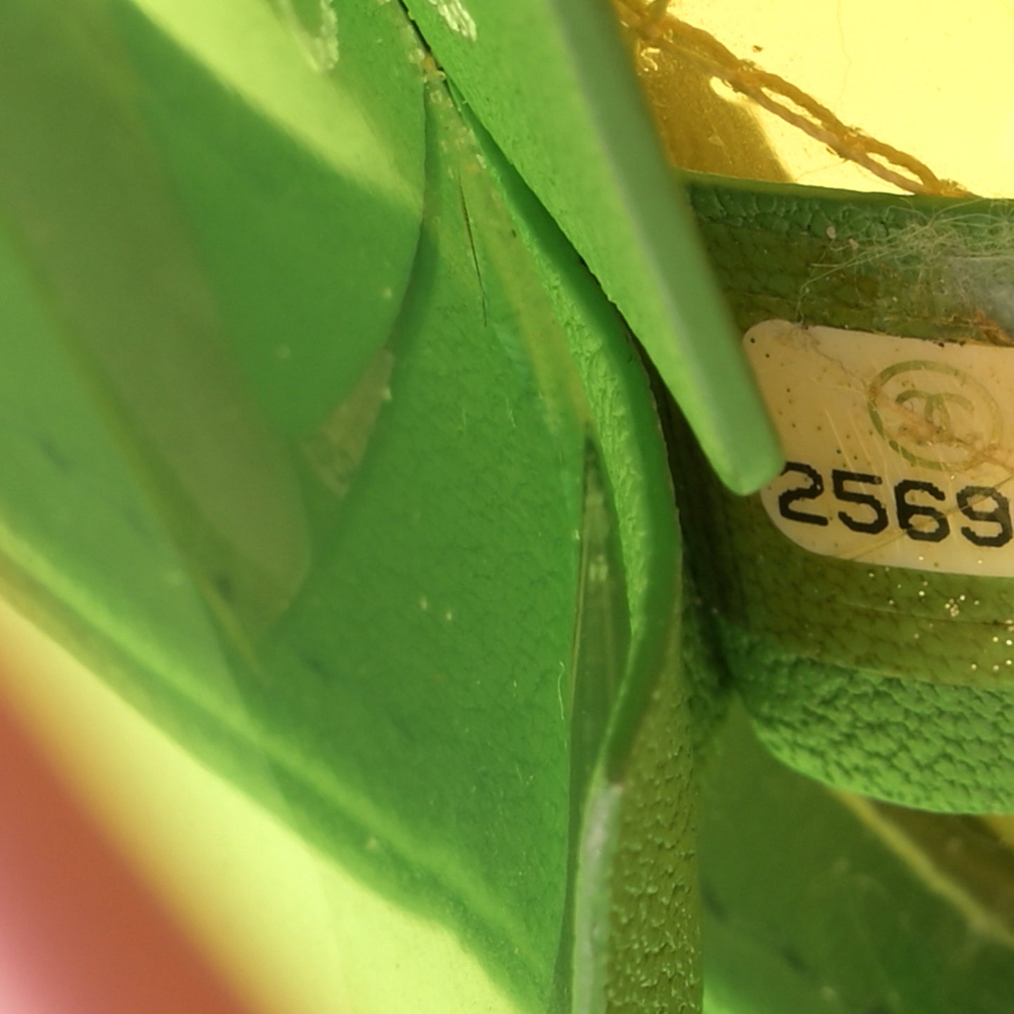 PVC Lambskin Stitched Medium Coco Splash Flap Yellow Green Pink