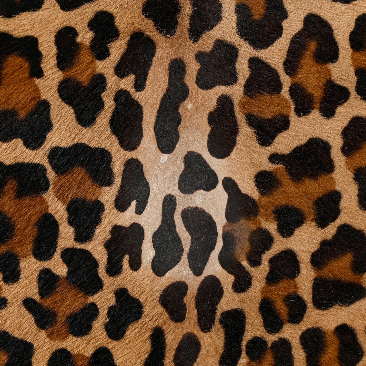 Prada Cavallino Leopard Print Tote Sabbia Moro 13 of 14