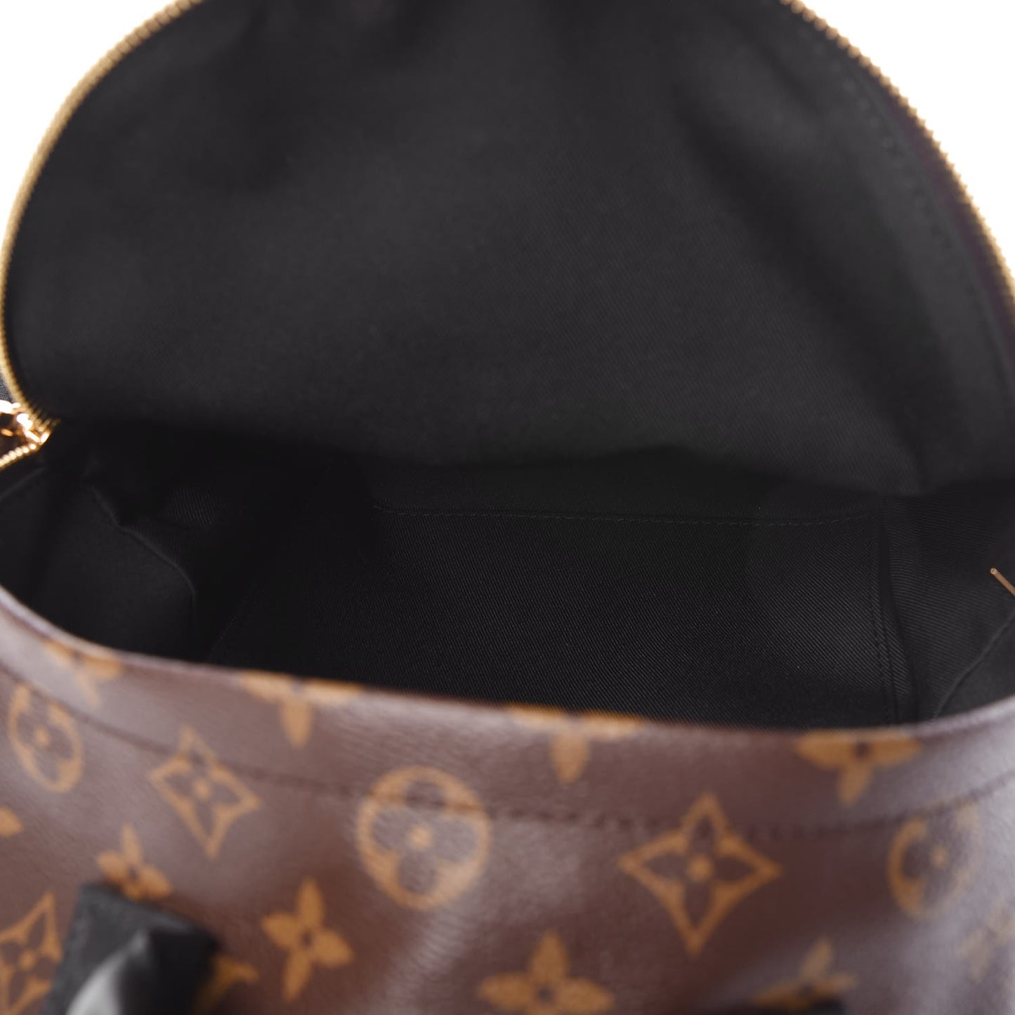 Monogram Palm Springs Backpack PM