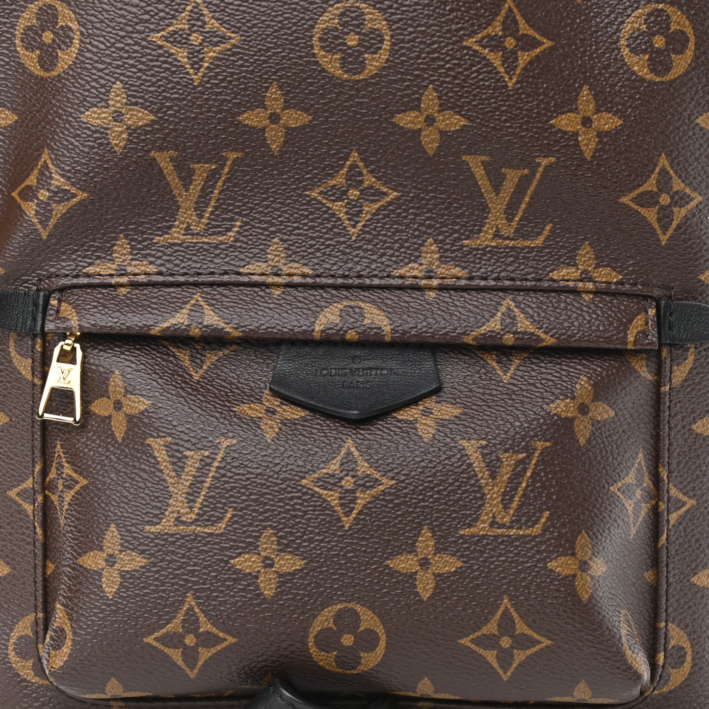Monogram Palm Springs Backpack PM