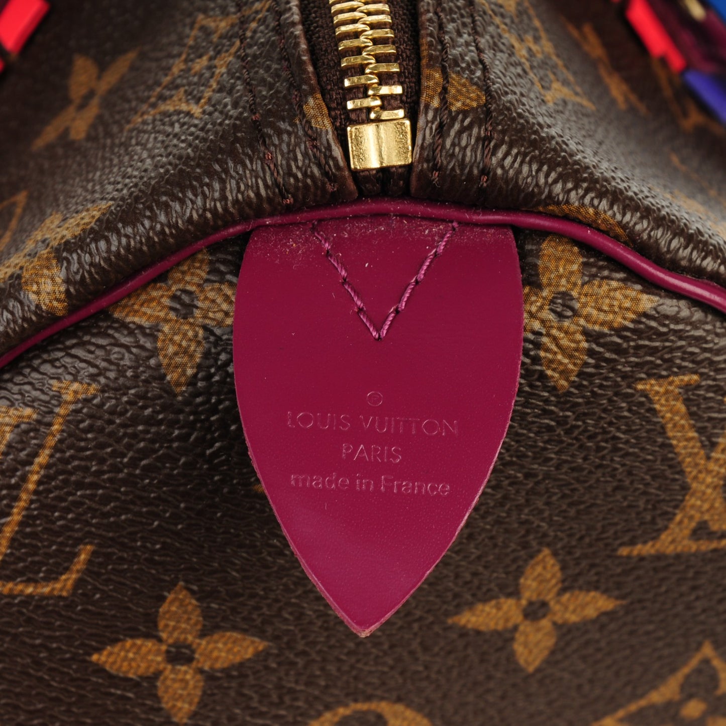 Monogram Totem Speedy 30 Magenta