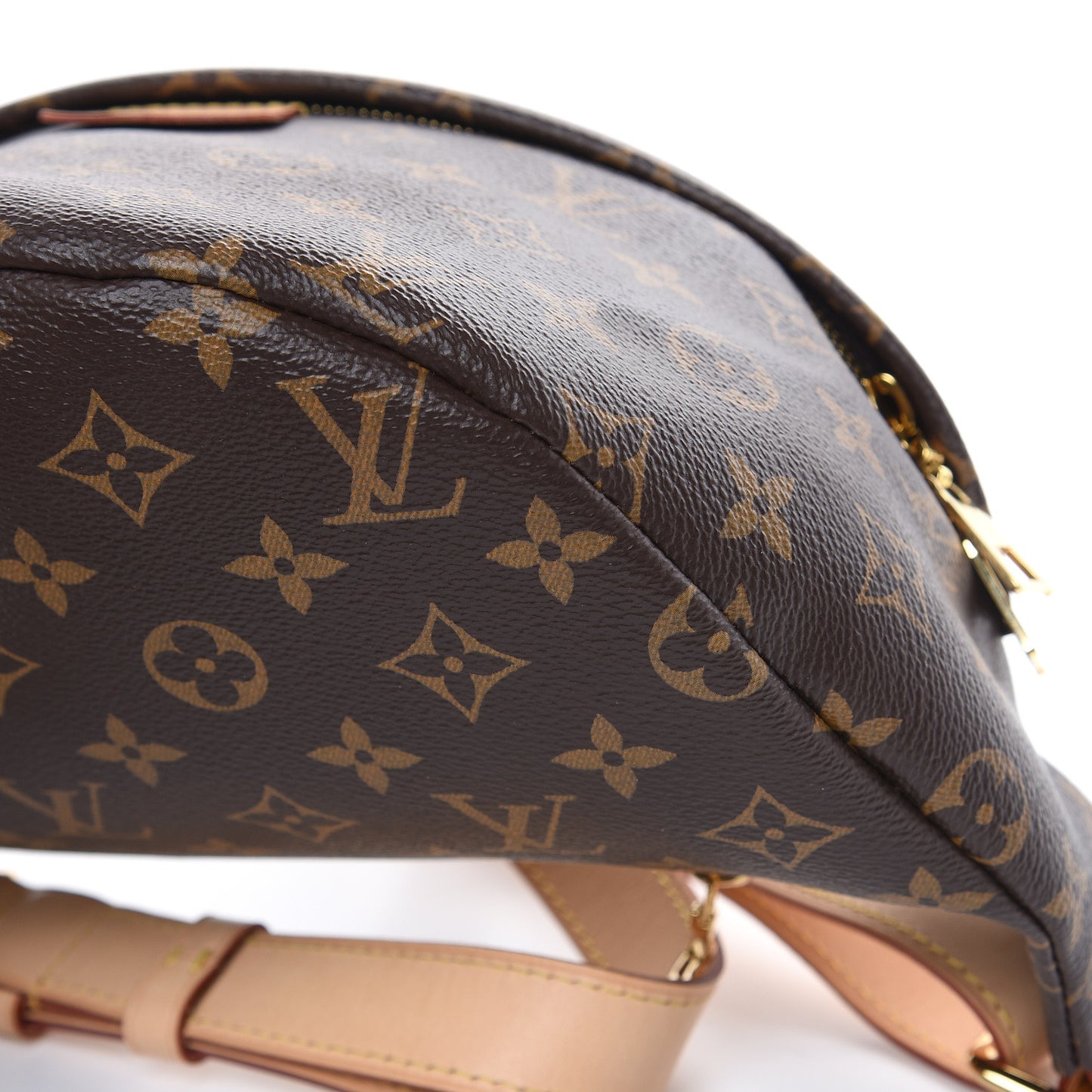 Monogram Bumbag
