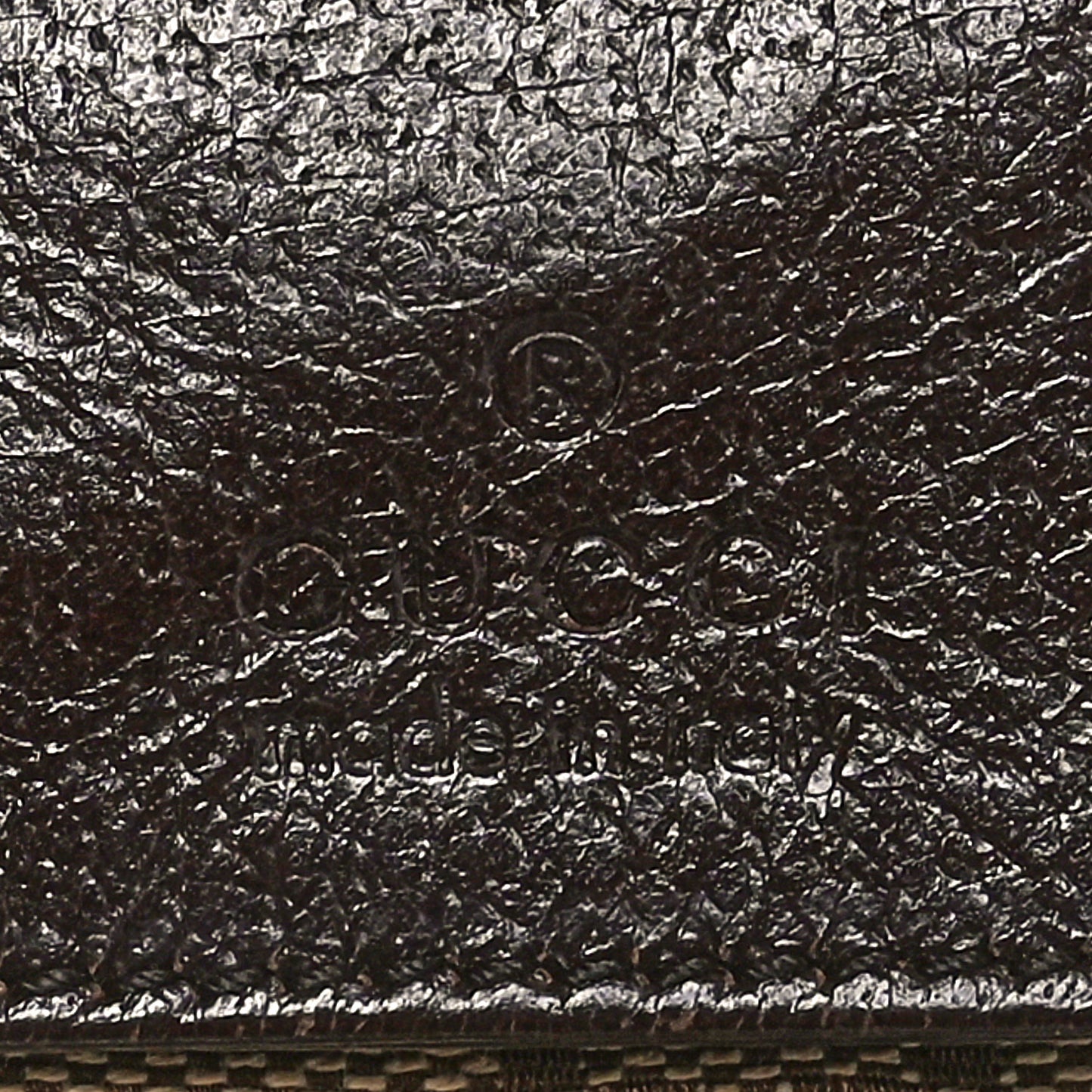Monogram Web Belt Bag Dark Brown