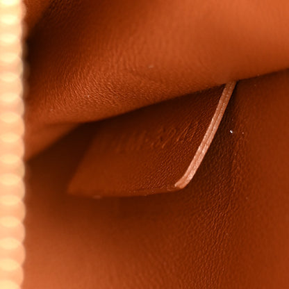 Celine Triomphe Canvas Chain Bag Tan 7 of 14