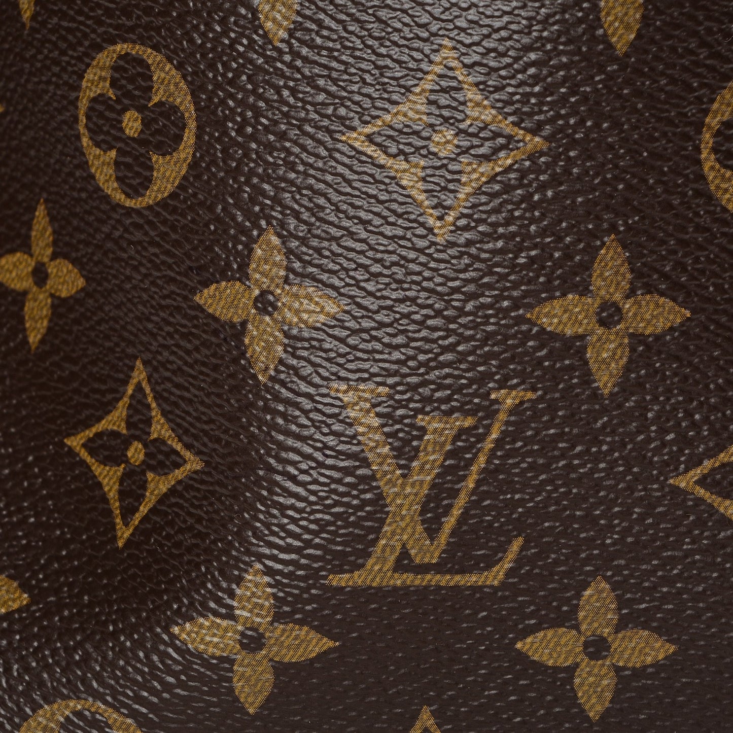 Snakeskin Monogram Artsy MM