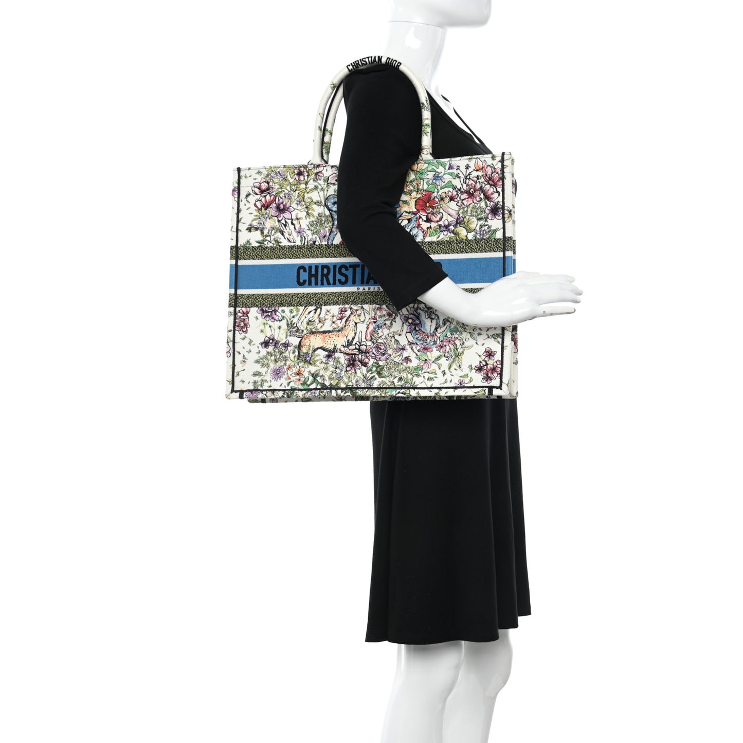 Canvas Embroidered Large D-Constellation Book Tote Latte Multicolor