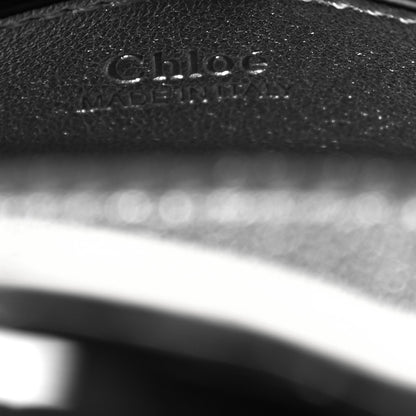 Chloe Metallic Small Grain Calfskin Kiss Bag Silver 5 of 8