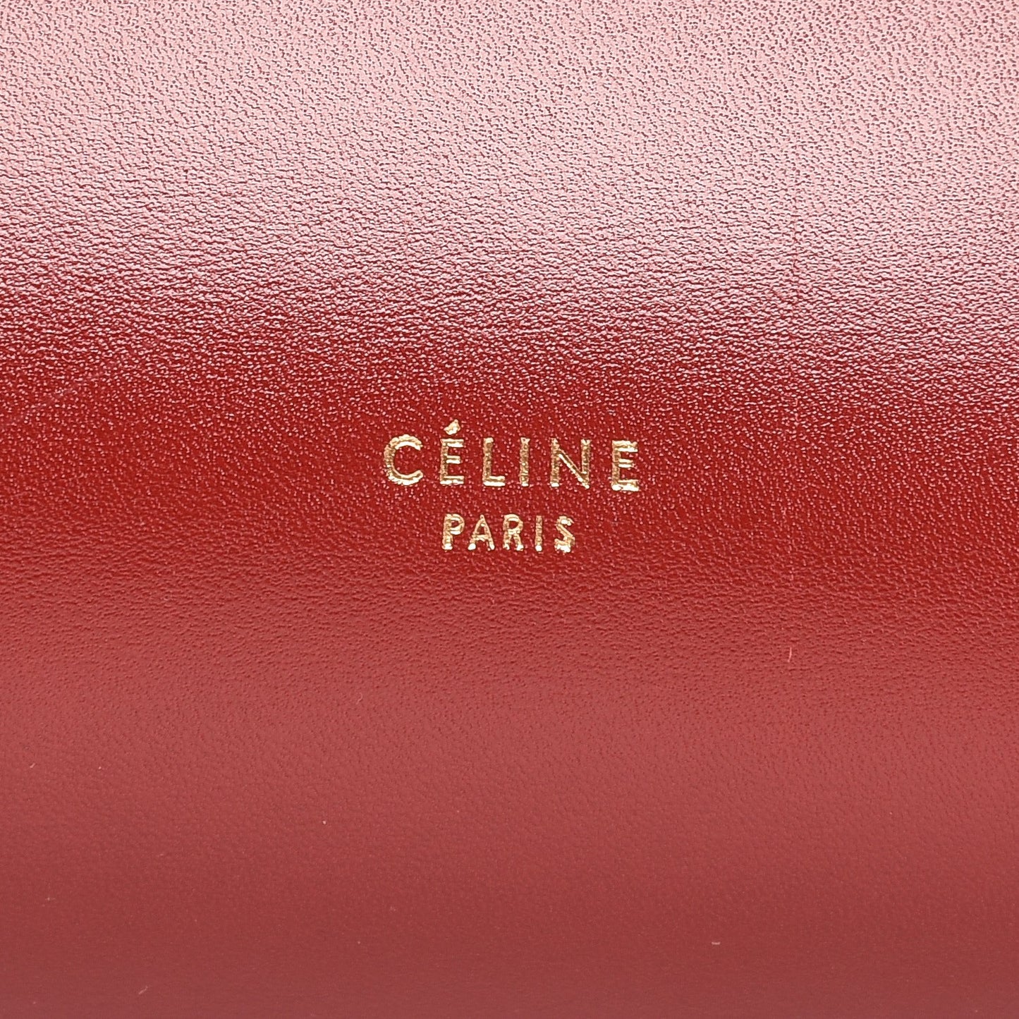 Palmelato Calfskin Mini Tie Knot Tote Red