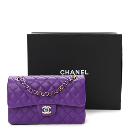 Chanel Caviar Quilted Small Double Flap Dark Purple 10 of 10