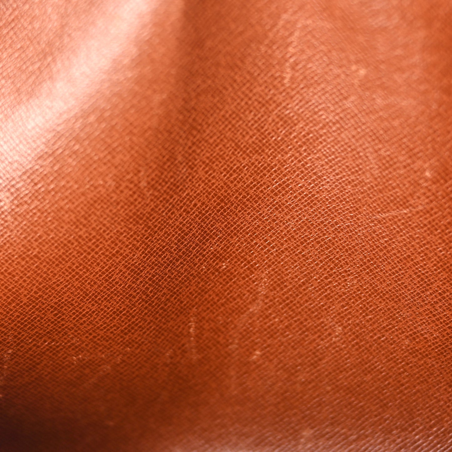 Monogram Papillon 30 with Companion