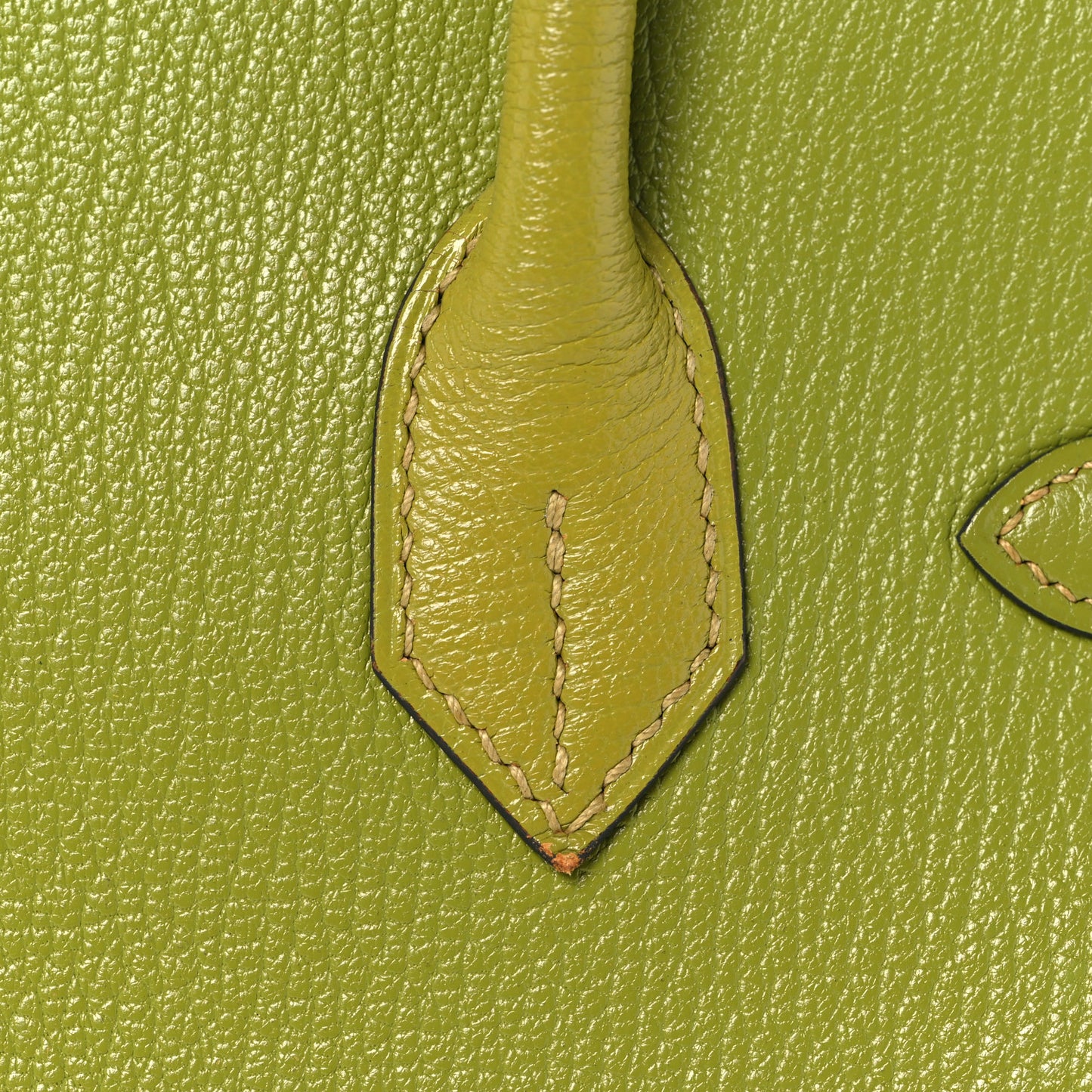 Chevre Mysore Bi-Color Birkin 30 Vert Anis Vert Chartreuse