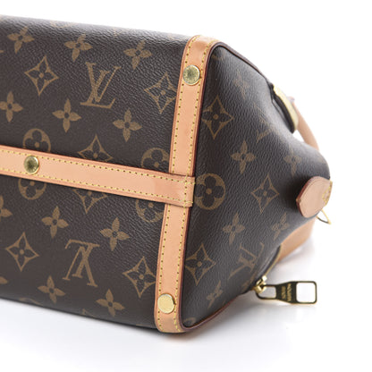 Louis Vuitton Monogram Marais BB 7 of 9