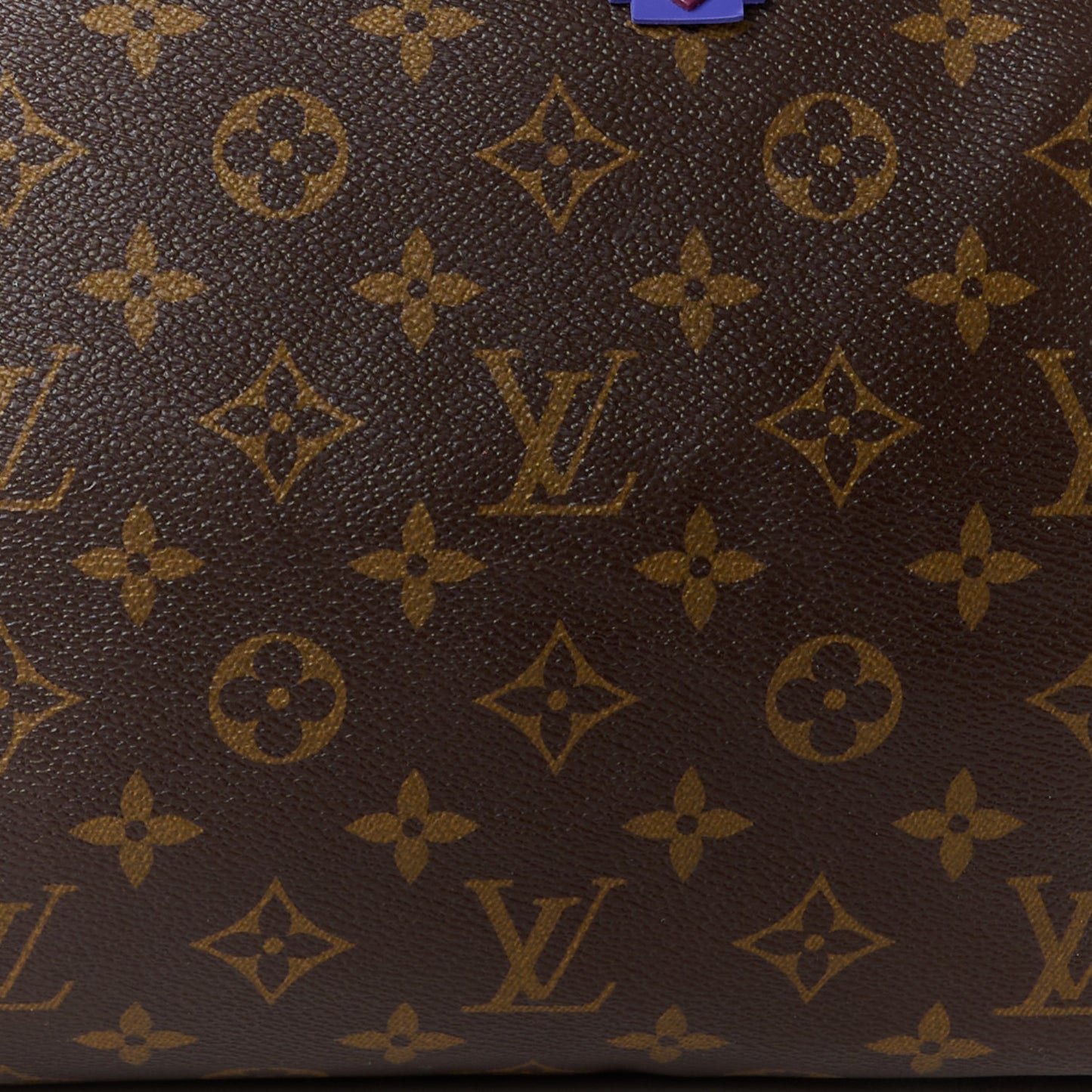 Monogram Totem Speedy 30 Magenta