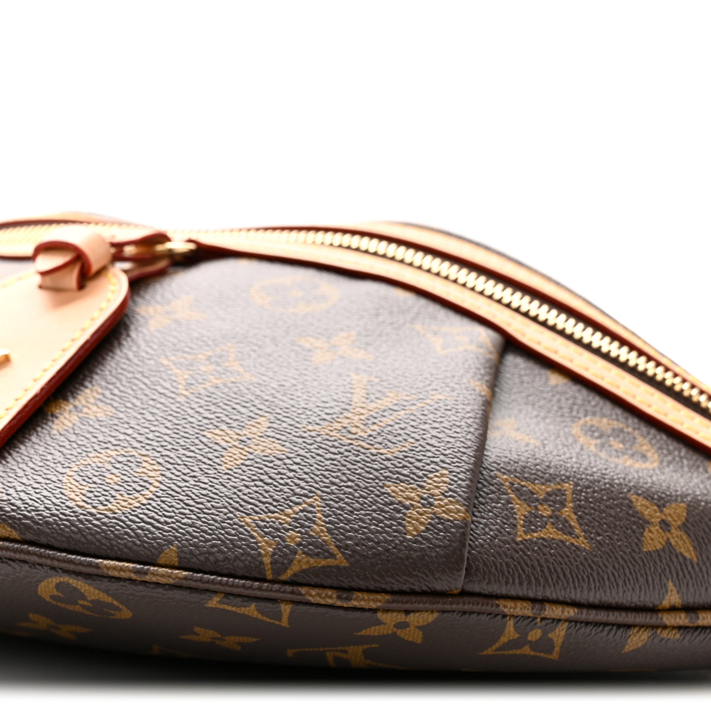Monogram High Rise Bumbag