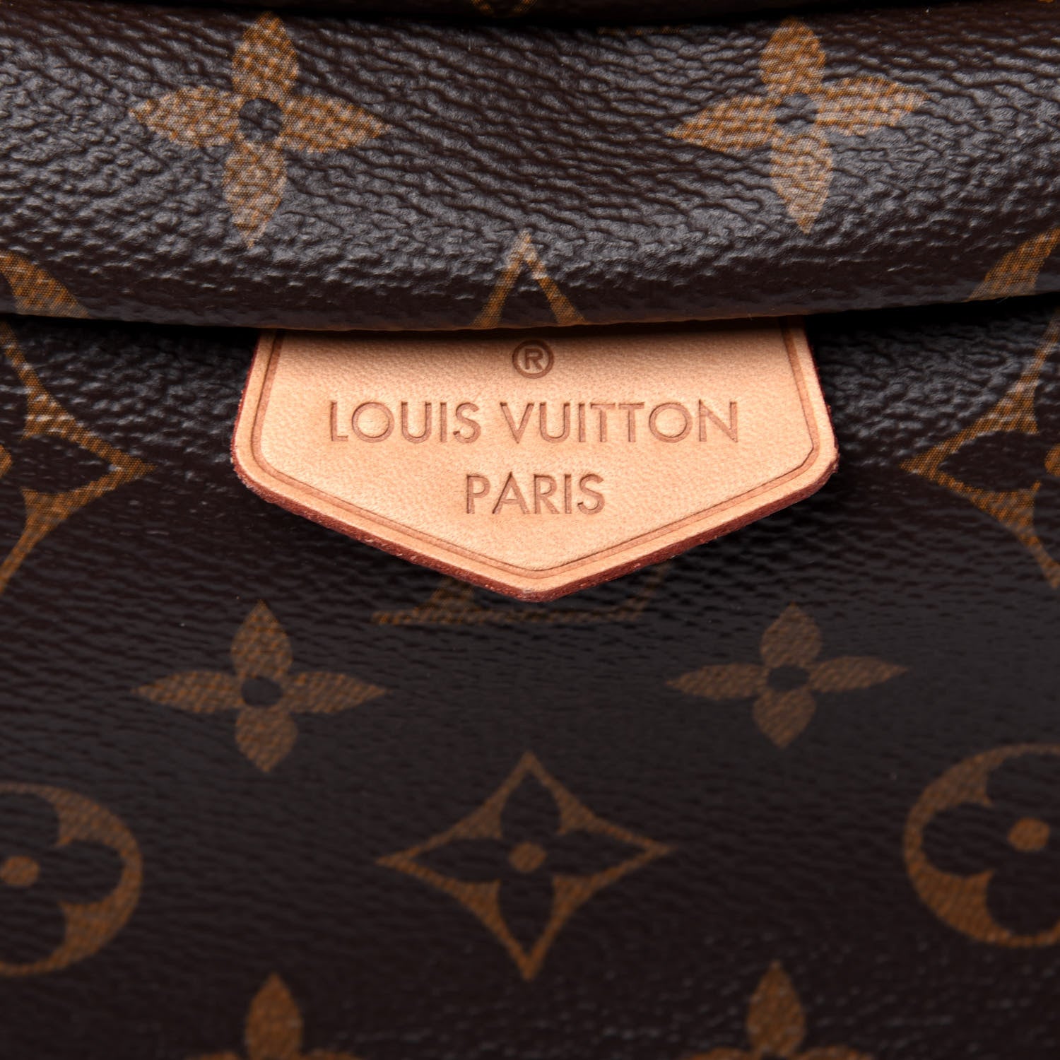 Louis Vuitton Monogram Bumbag 9 of 11
