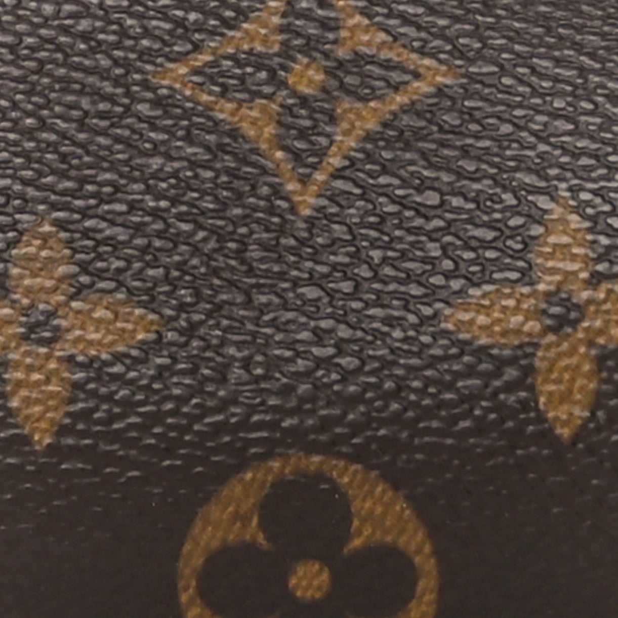 Monogram Mini Papillon