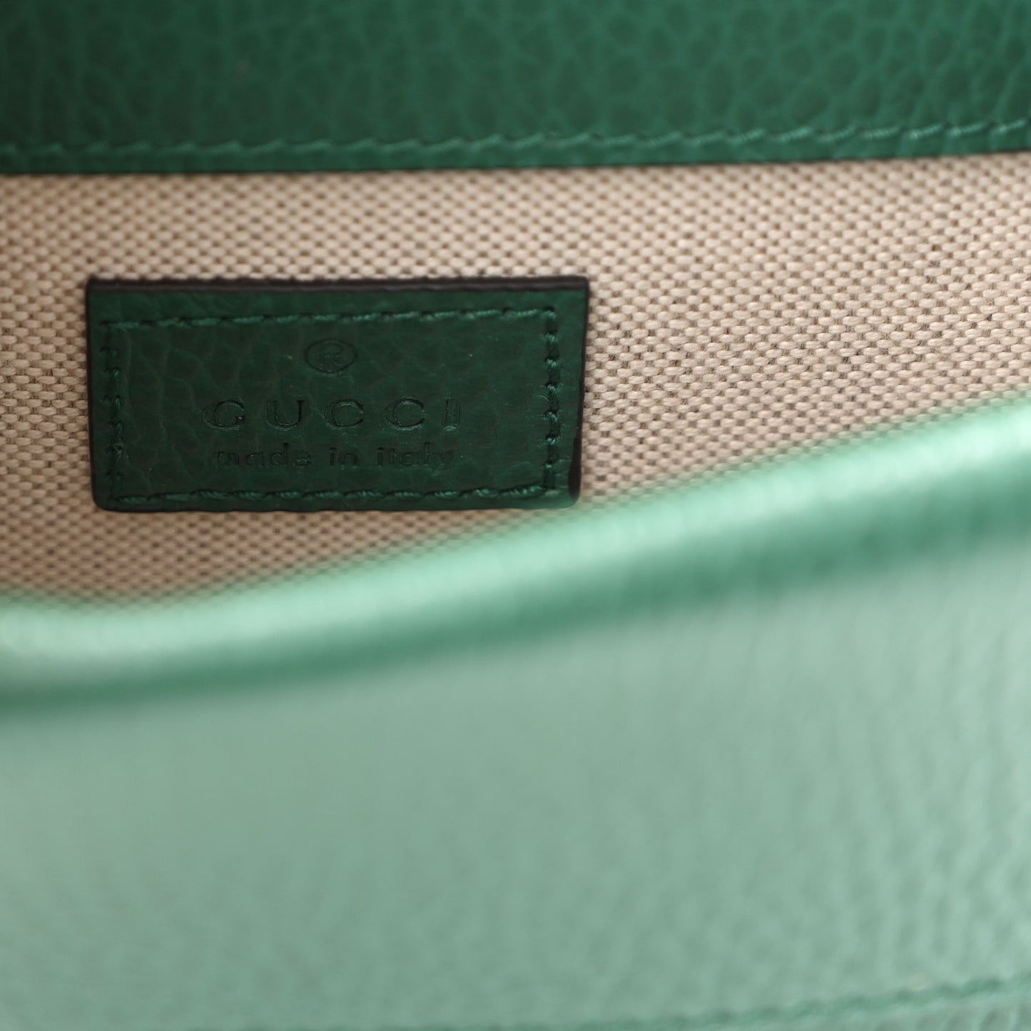 Dollar Calfskin Crystal Mini Dionysus Top Handle Bag Emerald