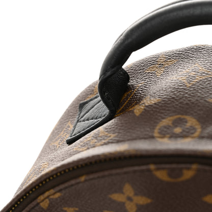 Louis Vuitton Monogram Palm Springs Backpack PM 12 of 15