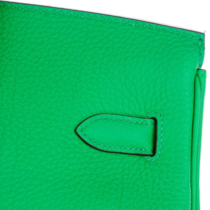Hermes Togo Birkin 35 Bambou 24 of 24