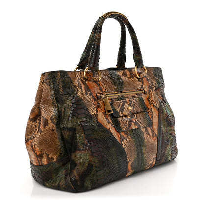 Prada Snakeskin Front Pocket Tote Multicolor 3 of 10