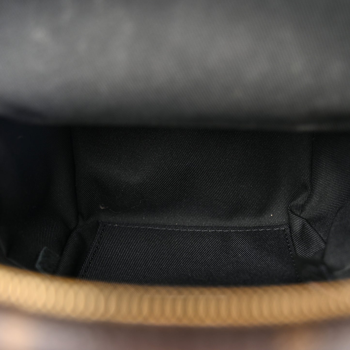 Monogram Palm Springs Backpack Mini