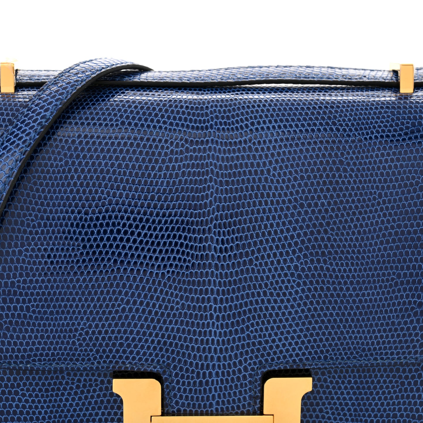 Lizard Constance 18 Bleu Saphir