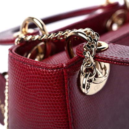 Christian Dior Lizard Gradient Mini Lady Dior Red 13 of 15